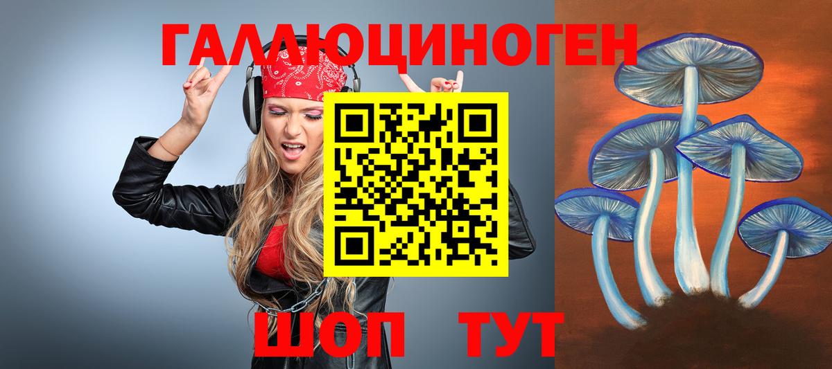 Осинники  Псилоцибиновые грибы прущие грибы  Вход с VPN 